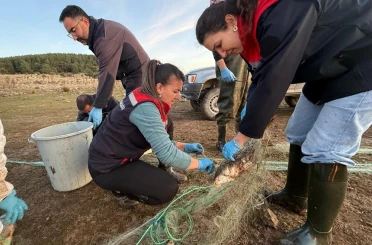 Bolu’da 5 kilometrelik hayalet ağ toplandı: 500 balık canlı kurtarıldı 