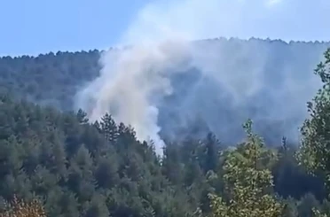 Bolu’da çıkan orman yangını kısa sürede söndürüldü 