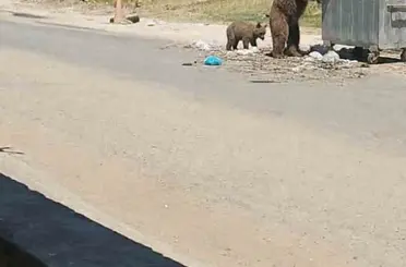 Bozayı Meriç’in köylerini geziyor

