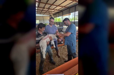 Bozdoğan’da hayvan sağlığı ekipleri sahada 