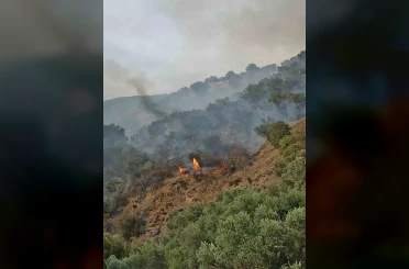 Bozdoğan’da orman yangını 