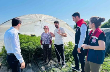 Bozdoğan’da tarımsal üretim sahada değerlendirildi 