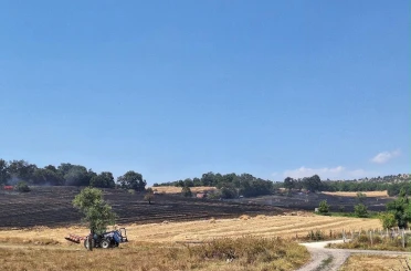 Bozüyük’teki yangında 80 dönüm tarım arazisi zarar gördü 
