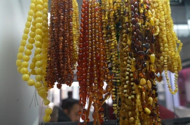 Brezilya’nın meyvesi Erzincan’da değerleniyor 
