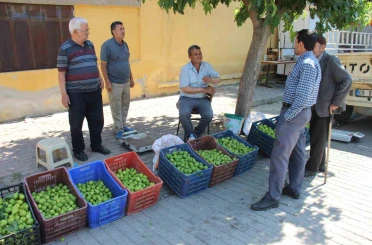 Bu pazarda meyve değil sinek satılıyor 