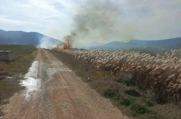 Bucak’ta sazlık alanda yangın 