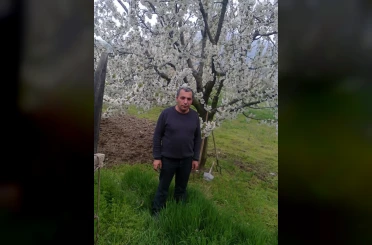 Budadığı ağaçtan düşen adam hayatını kaybetti 
