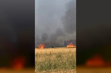 Buğday tarlaları alevlere teslim oldu 