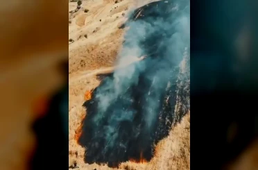 Buğday tarlası yangında zarar gördü 