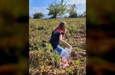 Buharkent’te hasat öncesi pestisit denetimleri sürüyor 