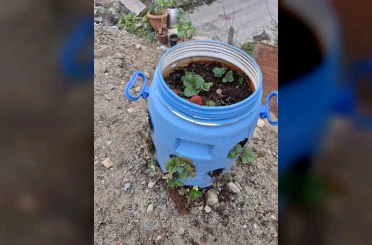 Buldanlı üreticiler atık malzemeleri tarımda değerlendiriyor 