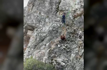 Burdur’da mahsur kalan keçiler ekipler tarafından kurtarıldı 
