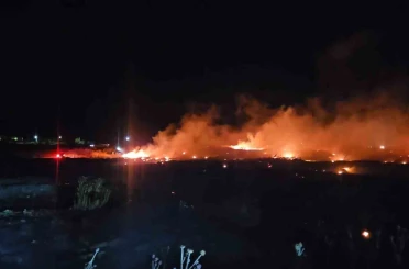 Burhaniye’de korkutan örtü yangını 