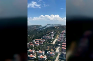 Burhaniye’deki zeytinlik yangını kontrol altına alındı 