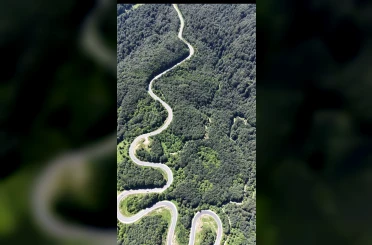 Bursa ormanlarında kartpostallık görüntüler 