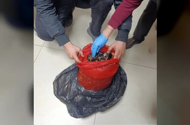 Bursa ve Balıkesir’de eş zamanlı operasyon: Tonlarca midye ele geçirildi 