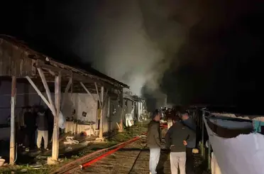 Bursa’da hayvan çiftliği alevlere teslim oldu
