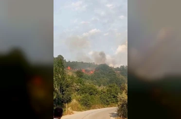 Bursa’da makilik alanda yangın 