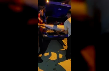 Bursa’da ölü yunus balığı kıyıya vurdu 