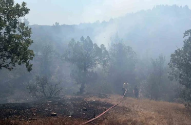 Bursa’da orman yangınına havadan ve karadan müdahale 
