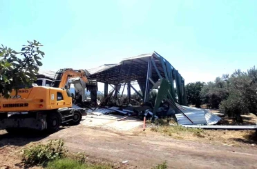 Bursa’da zeytinliğe yapılan kaçak depo böyle yıkıldı 
