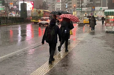 Bursalı çiftçilerin yağışlarla yüzü güldü 
