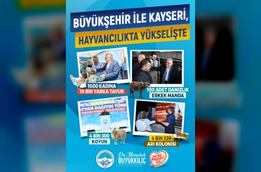 Büyükşehir ile Kayseri, hayvancılıkta yükselişte 