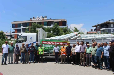 Büyükşehir’den Gazipaşalı üreticilere naylon desteği 