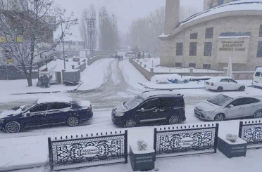 Çaldıran’da bahar beklenirken kış geri döndü 