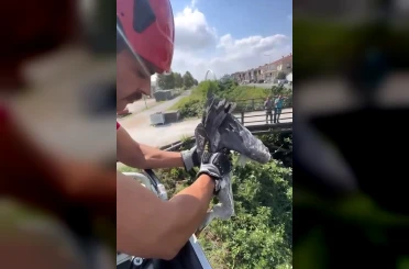 Çalıların arasına sıkışan balıkçıl kuşun imdadına itfaiye yetişti 