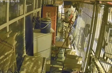 Çalıntı araçla geldiler, marketi soydular: 1 şüpheli tutuklandı 