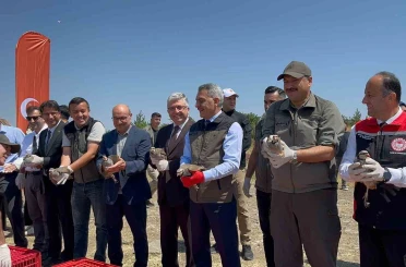 Çamlık Milli Parkı’nda bin keklik doğaya kanat çırptı 