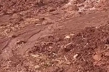 Çamura saplanan eşeği itfaiye ekipleri kurtardı
