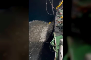 Çanakkale’de balıkçılardan örnek avcılık, yavru balıkları denize geri saldı 
