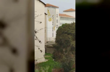 Çanakkale’de fırtına ağaçları devirdi 