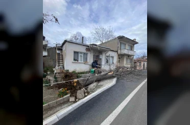 Çanakkale’de lodos fırtınasında devrilen ağaç evin çatısına zarar verdi 