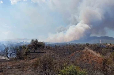 Çanakkale’de tarım arazisinde başlayan yangın ormanlık alana sıçradı 