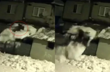 Çatıdaki karı temizlerken kar kütlesiyle zemine düştü 