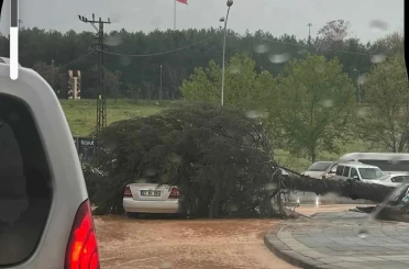 Çatılar uçtu, ağaçlar devrildi, park halindeki araçlar büyük zarar gördü 