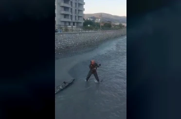Çaya düşen yavru kediyi Turhal itfaiye ekipleri kurtardı 