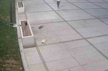 Çekirdek keyfi pahalıya patladı 