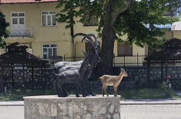 Çemişgezek’te tebessüm ettiren an: Gerçeği ve heykeli aynı karede 