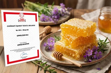 Çerkeş çiçek balı coğrafi işaret tescili aldı 