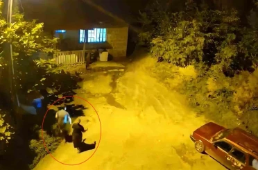 Cesaretleri ayının sesini duyana kadardı 