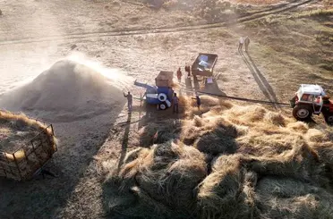Çiftçiler patoza başladı, masalsı görüntüler ortaya çıktı
