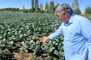 Çiftçilerin kullandığı kuyu suları 2 metreye kadar indi 