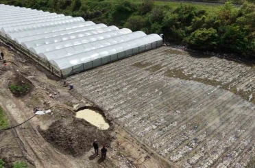 Çiftçinin taşkın nöbeti: Arazisindeki bitkiler Yeşilırmak’tan sızan suyun altında kaldı 