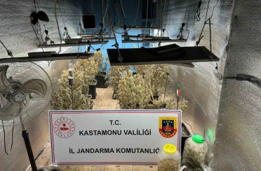 Çiftlik evlerini kenevir yetiştiren sanıklar tahliye edildi 