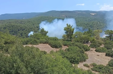 Çine’de orman yangını 