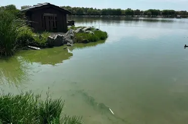 Çorlu Gölbaşı Parkı’nda alg alarmı: Gölette çalışma başlatıldı
